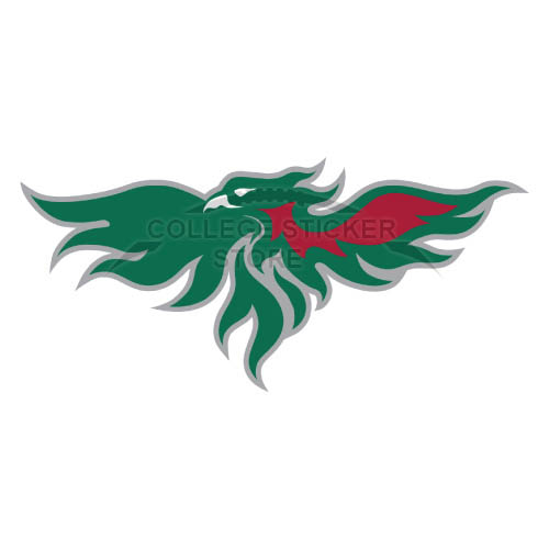 Diy Wisconsin Green Bay Phoenix Iron-on Transfers (Wall Stickers)NO.7034